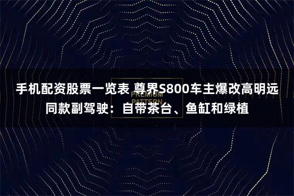 手机配资股票一览表 尊界S800车主爆改高明远同款副驾驶：自带茶台、鱼缸和绿植
